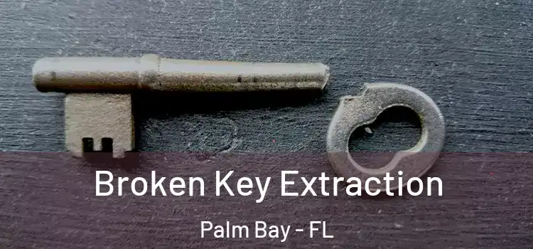  Broken Key Extraction Palm Bay - FL
