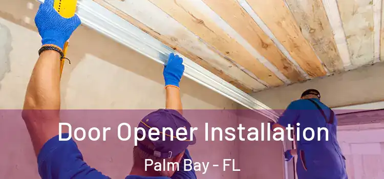  Door Opener Installation Palm Bay - FL