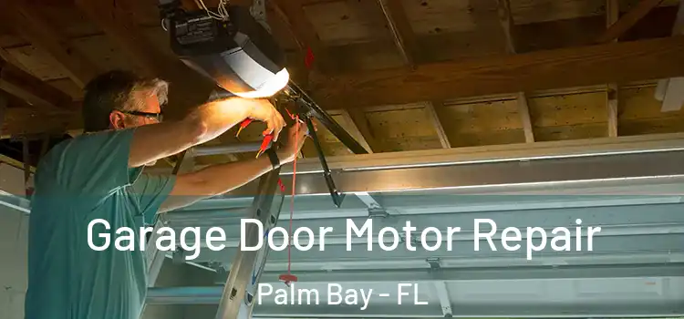  Garage Door Motor Repair Palm Bay - FL