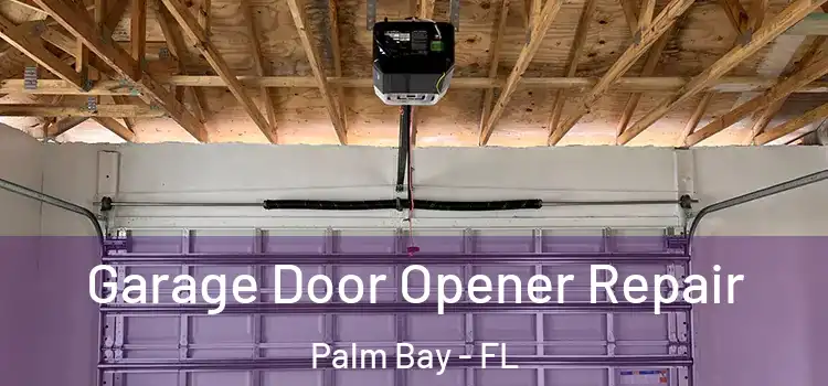  Garage Door Opener Repair Palm Bay - FL