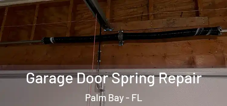  Garage Door Spring Repair Palm Bay - FL