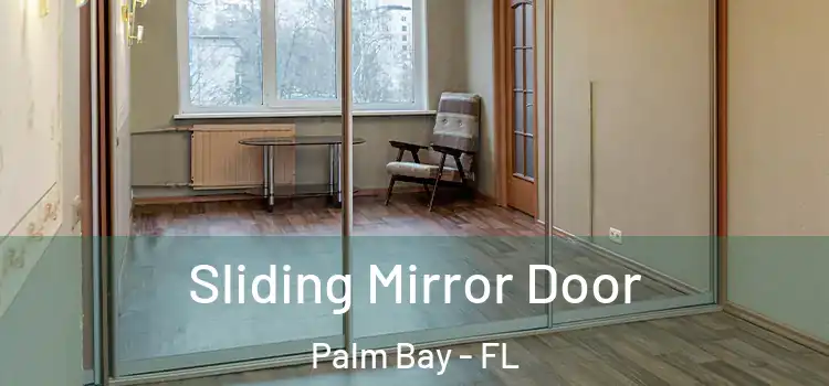  Sliding Mirror Door Palm Bay - FL